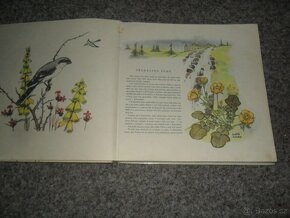 příroda - Zoologická zahrada, Ráj zvířat, Naše houby, různé - 3