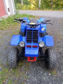 Yamaha Banshee 350 - 3