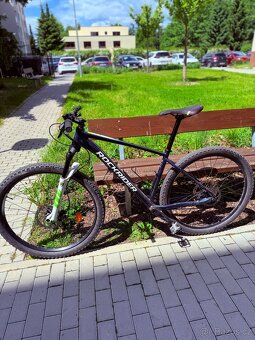 Prodám horské kolo Rockrider XC100 29” – velikost L – Shiman - 3