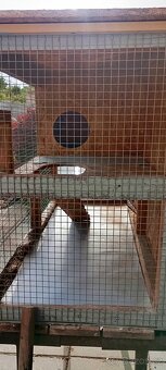 Domeček pro kralika - 3
