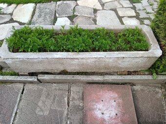 Betonové koryto - 3