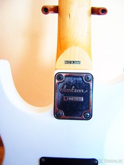 Jackson Fusion SX Professional - 3