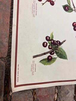 Školní plakáty 100 ks - 3