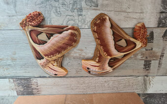 Entomologické vybavení pro začínající entomology - 3