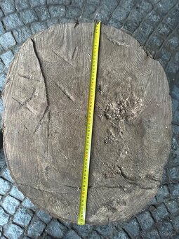 Prodám 2 ks masivních dřevěných špalků - 3