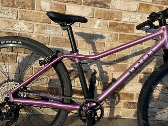 Dětské kolo Rascal 24 - 3