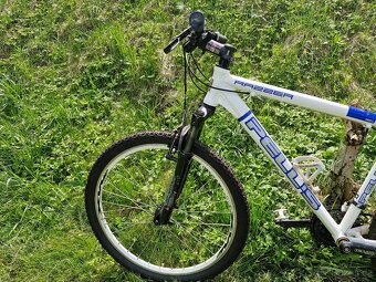 Horské kolo PELLS RAZZER 26" - 3