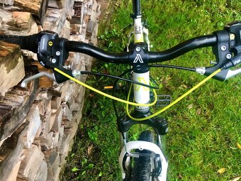 Juniorské kolo 24" ALPINA ECO M10 - 3
