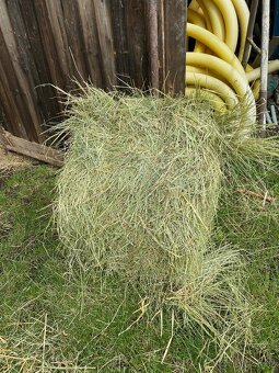 Seno malé hranaté balíky - 3