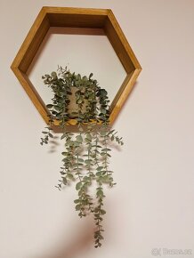 Dubová police včelí plástev - 3