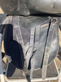 Thorowgood Griffin - 3