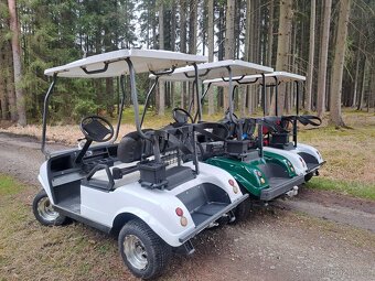 Golfovy voziky už jen bílé k odběru - 3
