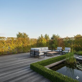 Habr obecný na živý plot - 3