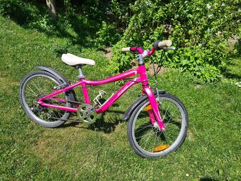 Specialized 20 - 3