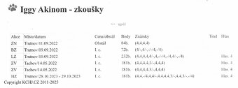 Drsnosrstý jezevčík - 3