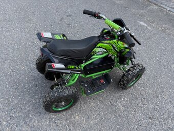 Dětská čtyřkolka BEA 830 Max Tigger 800W - 3