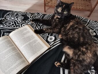 Daruji do dobrých rukou - 3