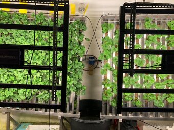 Grow světlo (Lumatek Zeus 600W) 2 kusy - 3