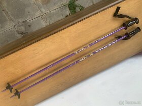 Dynastar 6.1 Made in France kvalitni sjezdove lyze s hulkami - 3