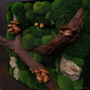 Mechový obraz / obraz ze stabilizovaného mechu - 3