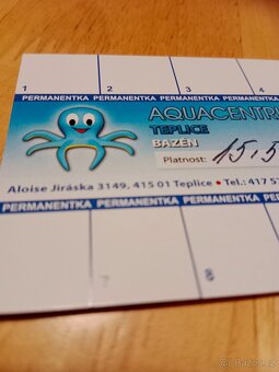 Permanentka na bazén v Teplicích - 3
