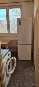 Pronájem bytu 1+1 Ostrava Hrabůvka - 3