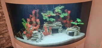 Rohové akvarium 190 L - 3