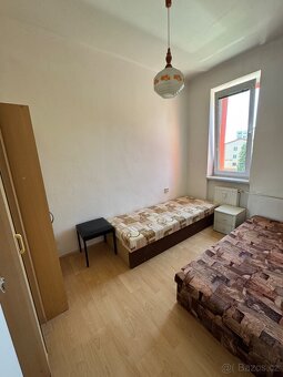 Pronajmu 3+1 v Plane - 3