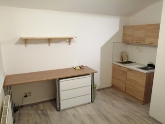 Pronájem 1+kk, ulice Údolní, centrum, 32 m2, klidný - 3
