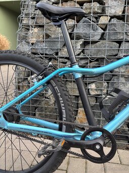 Rascal 24 7 speed - 3