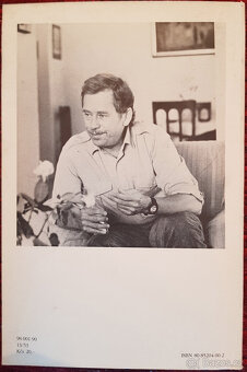 Asanace (Václav Havel) - 3