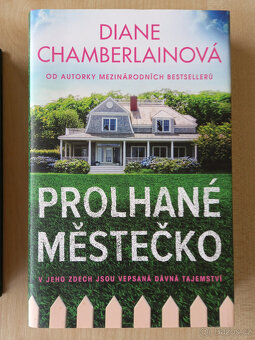 Diane Chamberlainová - 3