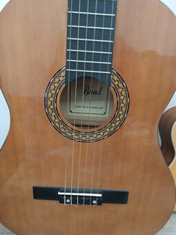 Prodám, kytara a ukulele - 3