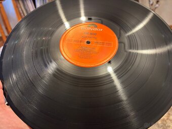 The Who — Who Are You. LP - 3