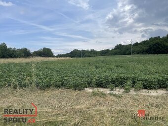 Prodej, pozemky/bydlení, 788 m2, Hustopeče, Břeclav [ID 7392 - 3