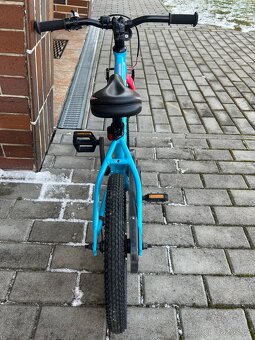 Author record 16" - 3