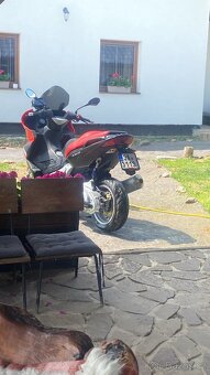 Gilera Nexus 500 - 3