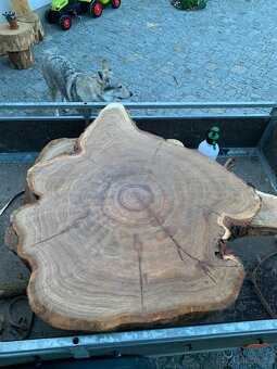 Dubový ovál (koláč) 120cm průměr - 3