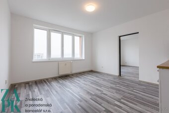 Pronájem bytu 1+1, Střekov, Ústí nad Labem, ev.č. 00884 - 3