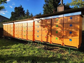 Med přímo od včelaře - 3