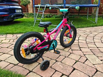 Specialized RIPROCK 12 + kolečka + Trail Gator - 3