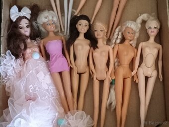 Panenky typu Barbie - 3