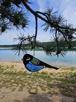 Sluneční Ptáček - 3