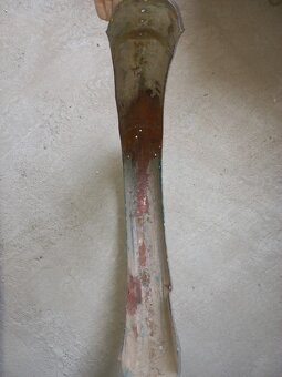 Blatník Jawa Pérák - 3