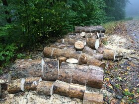 Palivové dřevo Měkké - Jehličnaté - 3