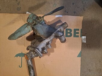 Felicia octavia spartak veterán - 3