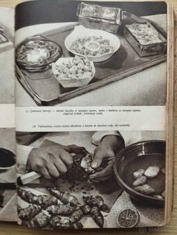 Vaříme zdravě, chutně a hospodárně - 3