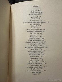 Mix klasické české literatury - 3