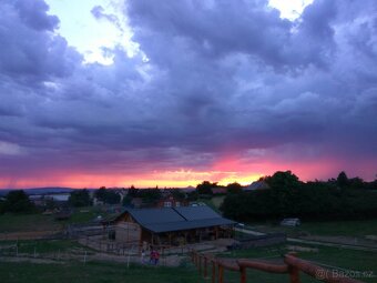 ustájení koní 24/7 - 3