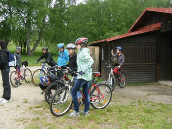 Pronájem - 3